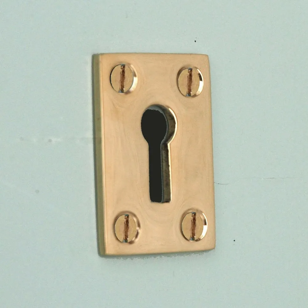 Polished Brass Oblong Escutcheon