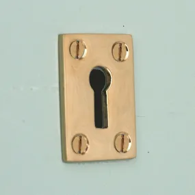 Polished Brass Oblong Escutcheon